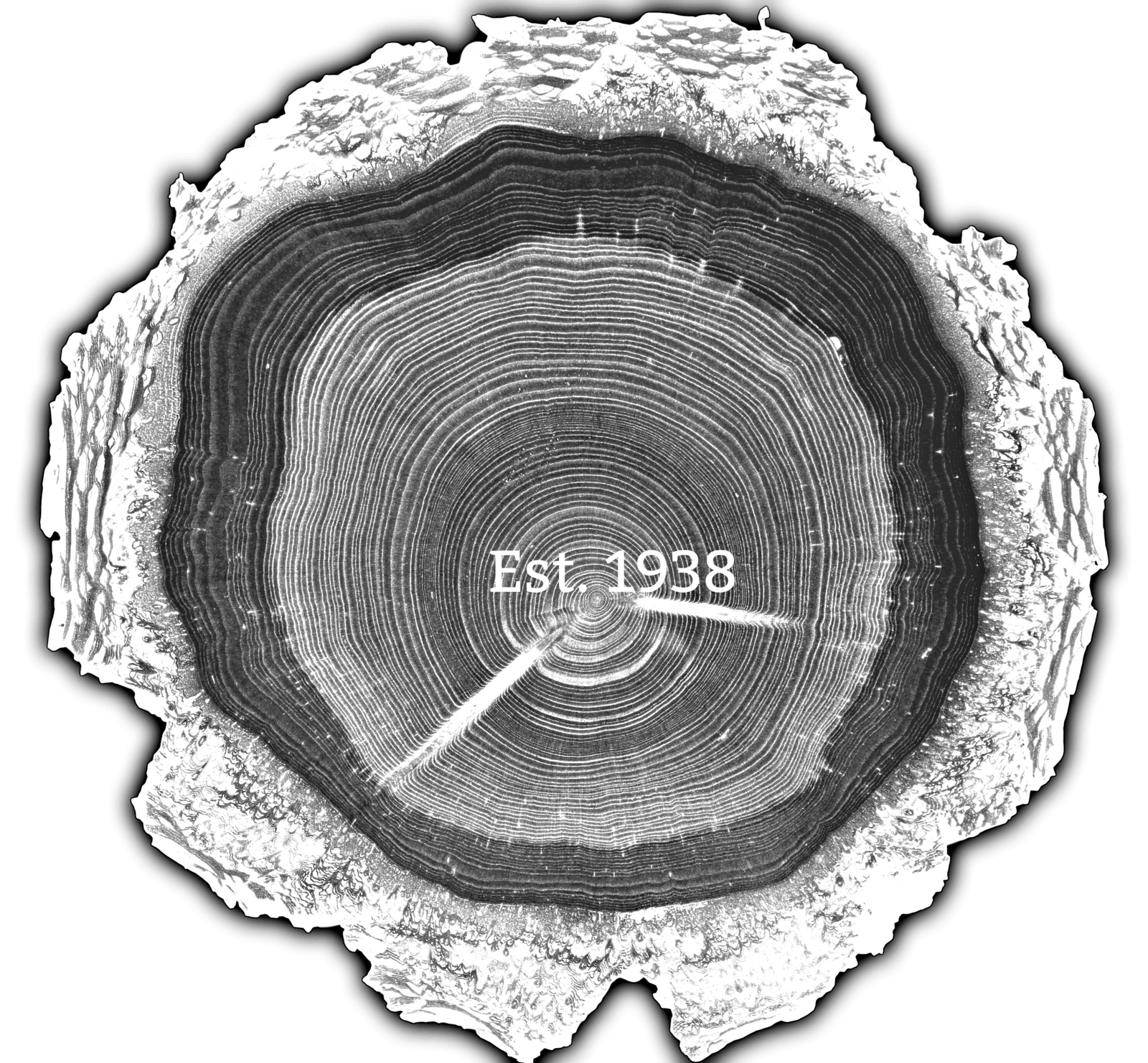 1938 | Tree Ring Co