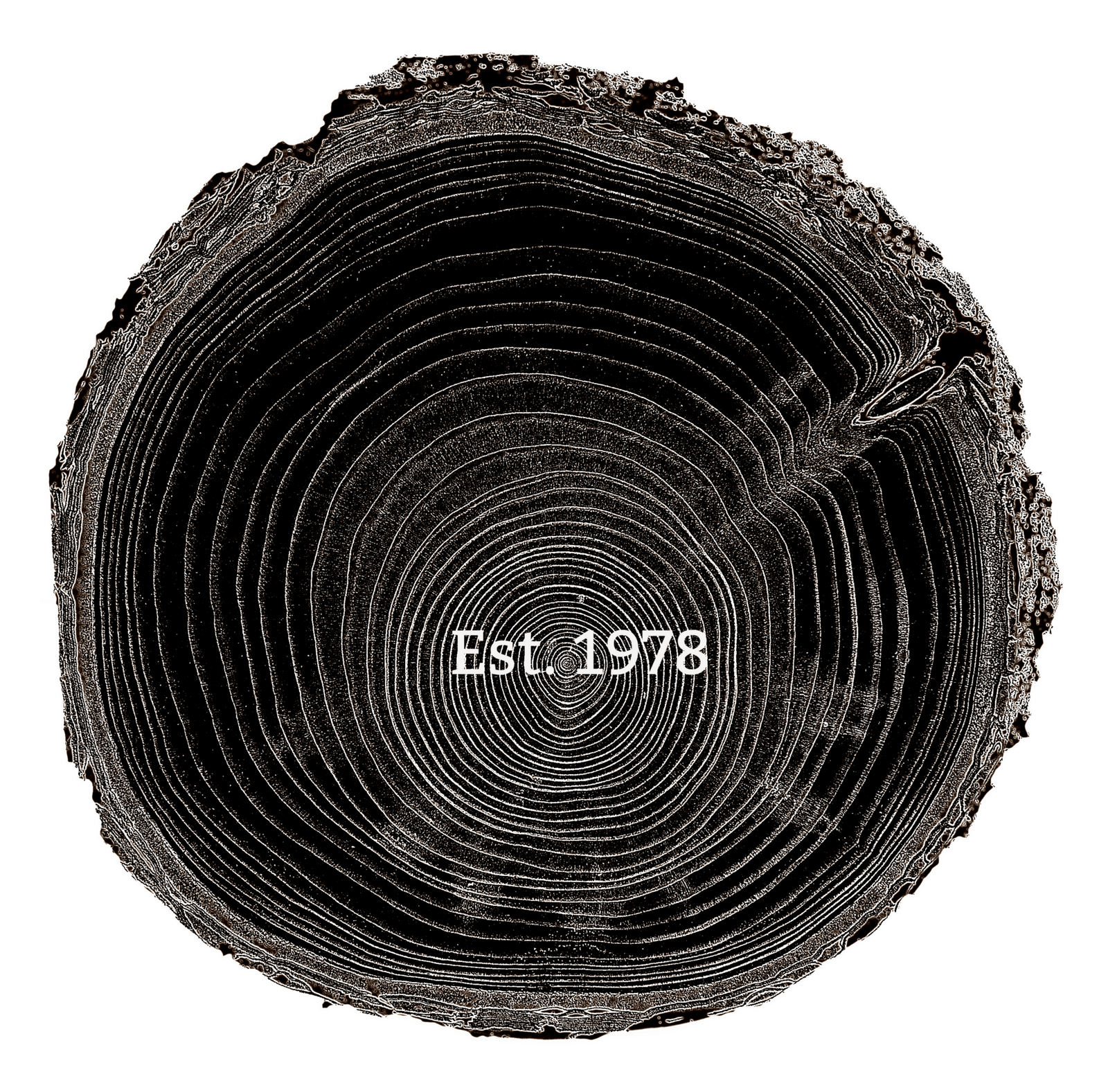 1978 | Tree Ring Co