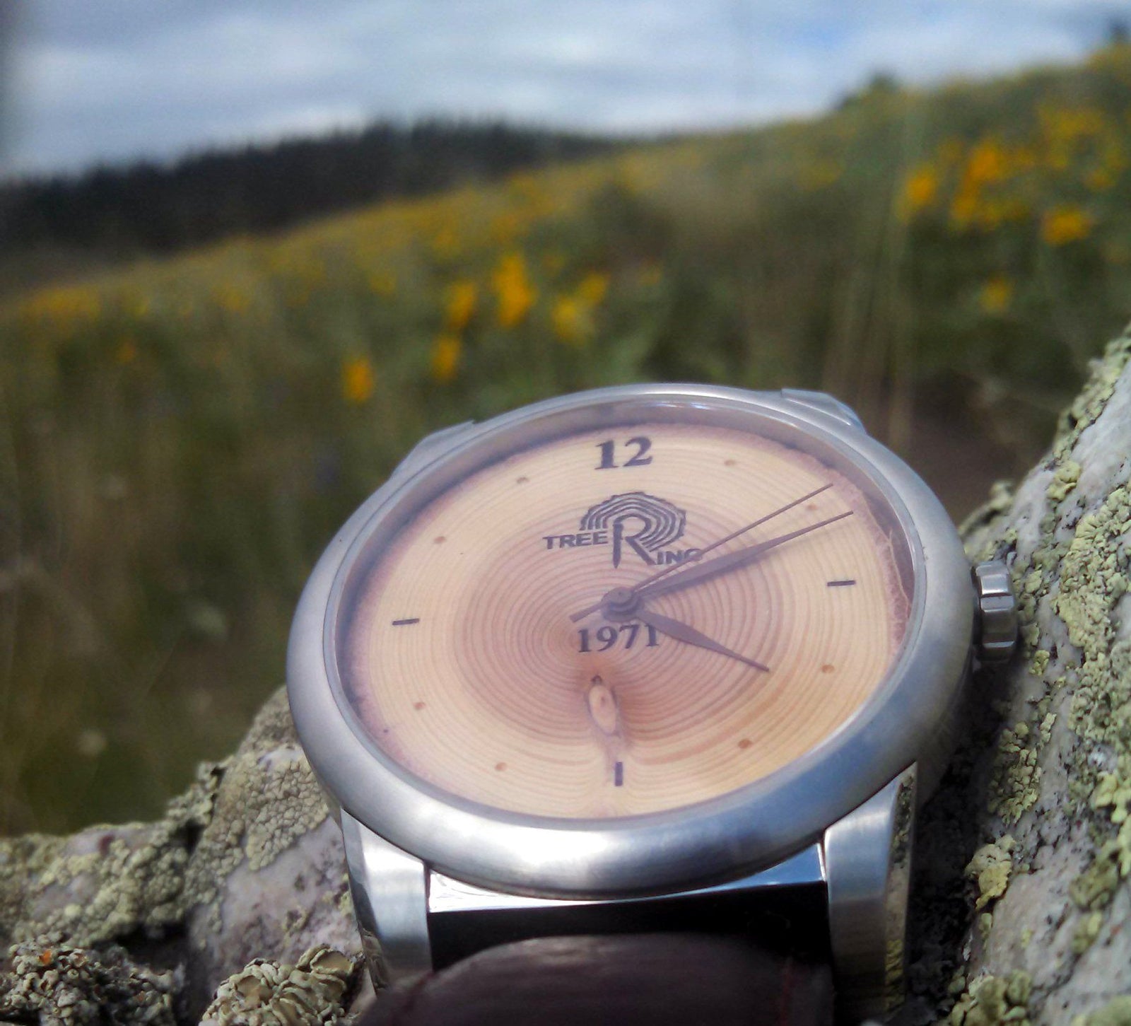 TREE RING TIMEPIECE (TEST RUN) | Tree Ring Co