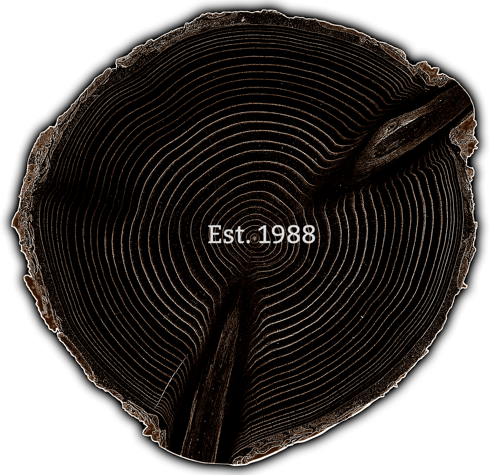1988 | Tree Ring Co