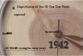 Tree of Remembrance Watch