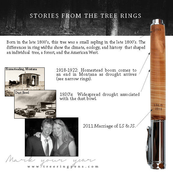 Anniversary Pen Rollerball - Tree Ring Co