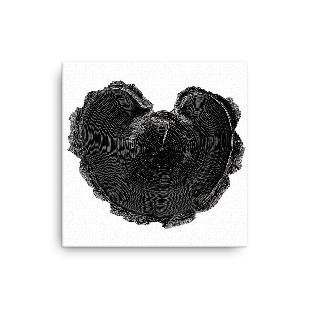 Tree Print – Tree Ring Co