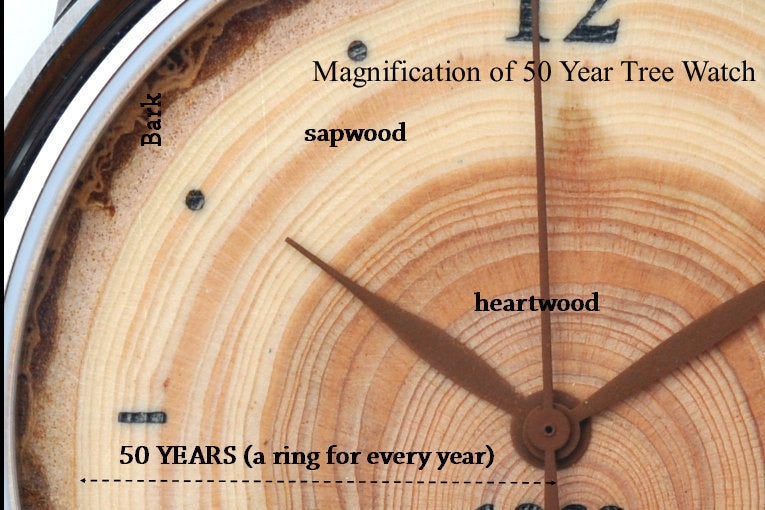 Tree Ring - 50 Years, Gold