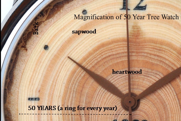 50th Birthday Gift For Her.  Wood and Steel Watch, Anniversary Gift Spouse, Engraved Watch