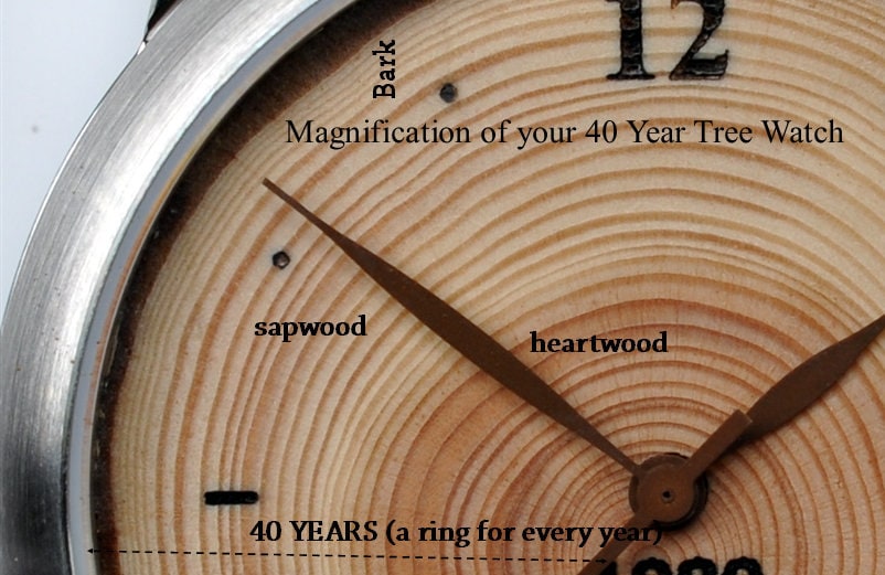 Men's Watch 40th Gift Idea, Wood Watch, Engraved Wood Watch, Anniversary Gifts for Boyfriend, Engraved Watch, 40th Birthday