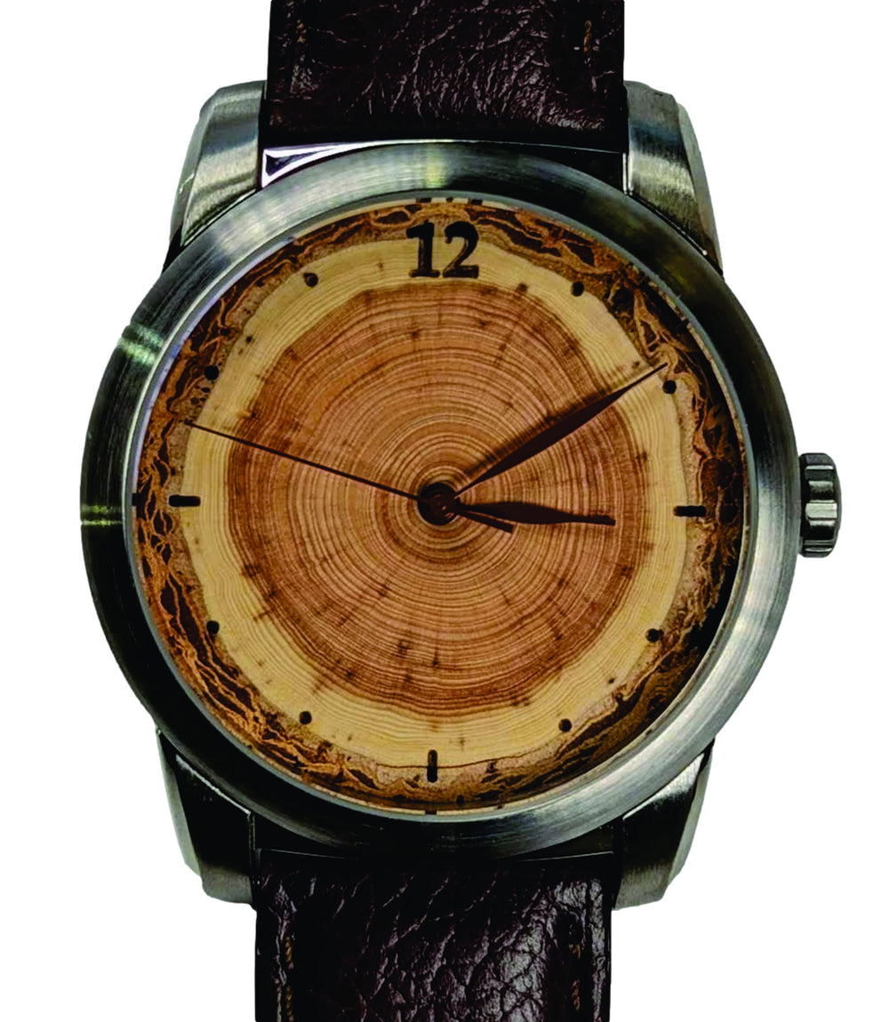 Tree Ring - 60 Years