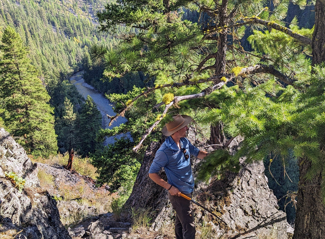 Person exploring rocky terrain with a river below, surrounded by tall trees and mountain scenery.