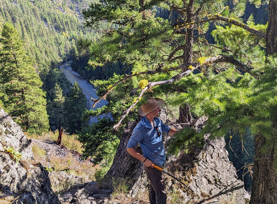 Person exploring rocky terrain with a river below, surrounded by tall trees and mountain scenery.