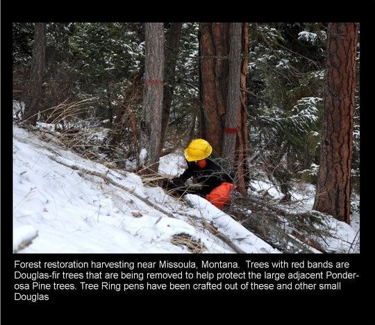 The Blackfoot River - Tree Ring Co