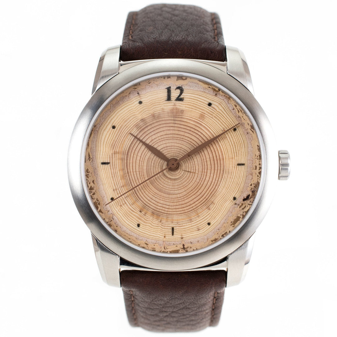 Classic wood watch with tree ring dial, featuring annual rings and brown leather strap.